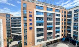 集团环境